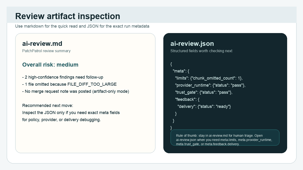 Sanitized side-by-side example of ai-review.md and ai-review.json inspection